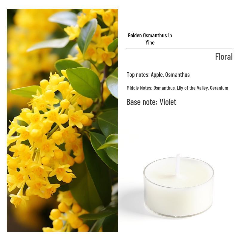 Premium Aromatherapy Candle Set: 38 Scented Samples - Ideal for Gifts, Birthdays, Parties, and Elegant Decor.