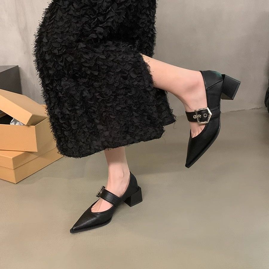 Ретро туфли-лодочки на толстом каблуке для женщин, обувь 2025, новинка, весна-осень-зима, вечерний бриз, остроносые Мэри Джейн из маленькой кожи