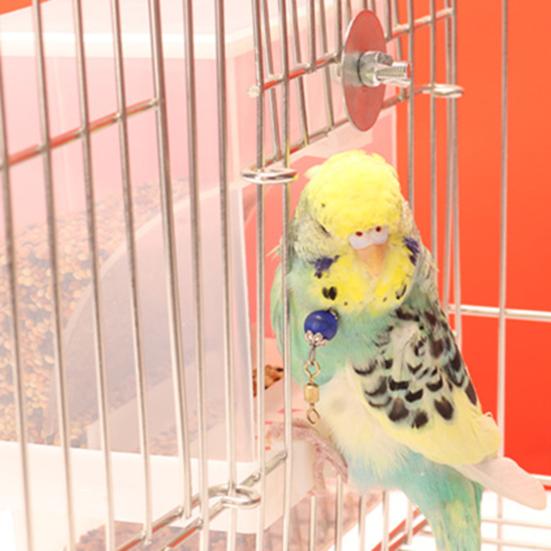 Автоматическая кормушка для птиц большой вместимости, защита от брызг и простая в использовании кормушка для маленьких птиц