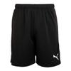 Puma Шорты Team Rise