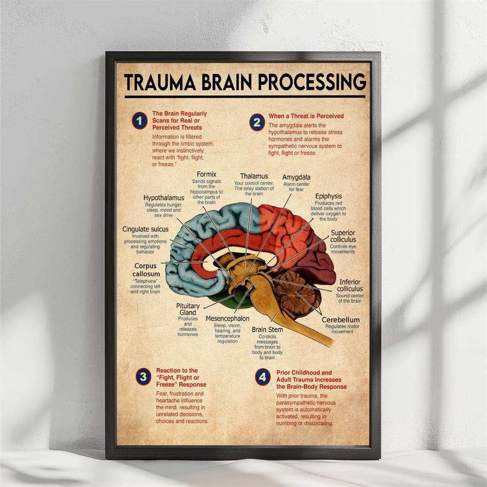 Trauma Brain Processing Poster Brain Anatomy Print Mental Health Wall Art Nervous System Canvas Painting Brain Anatomy Poster