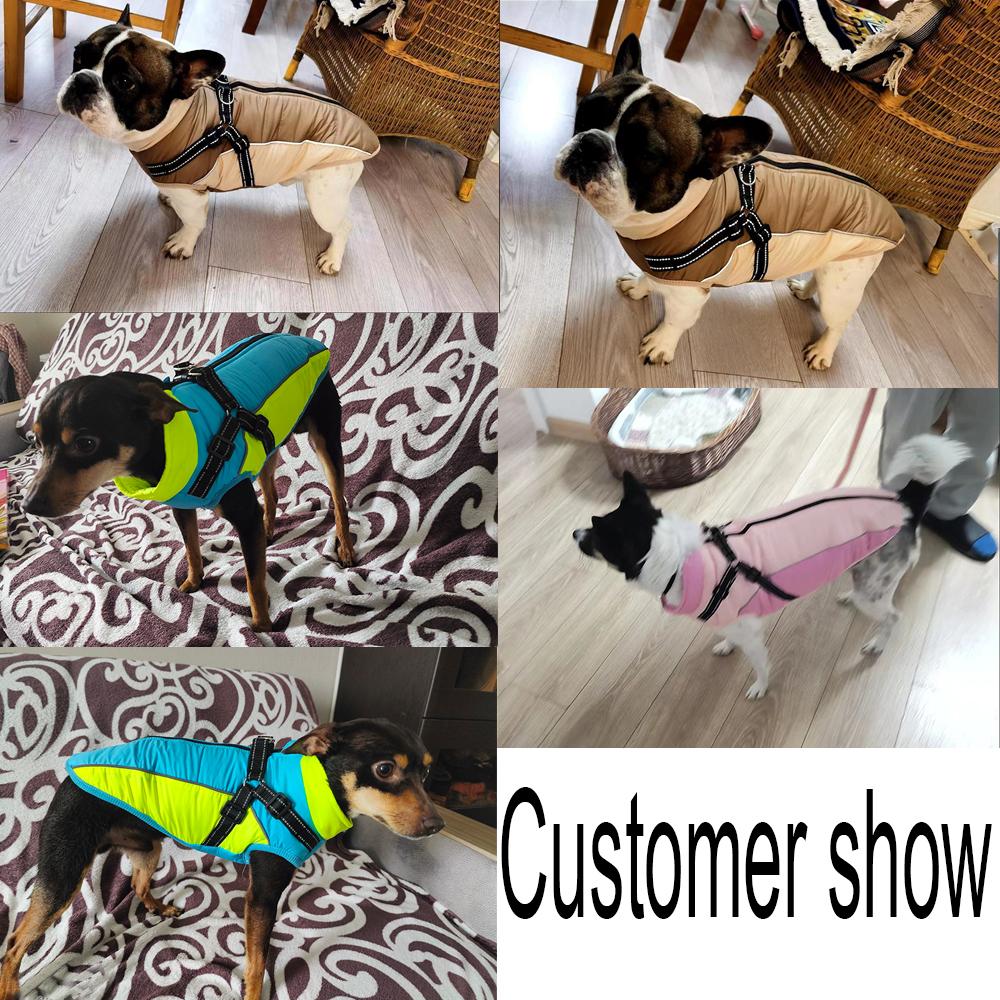 Зимнее пальто для собак Одежда для домашних собак Светоотражающая зимняя теплая куртка для маленьких средних собак Жилет для кошек в холодную погоду Жилет Пальто Одежда для французского бульдога