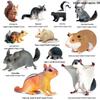 Children's Cognitive Rodent Simulation Toy: Chipmunk, Marmot, Squirrel, Guinea Pig Models