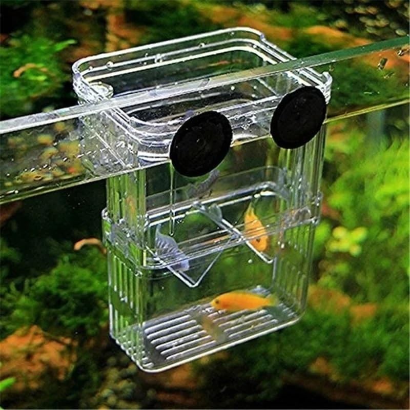 Multifunctional Fish Aquarium Fish Breeding Isolation Box High Clear Aquarium Breeder FishTank Double Guppies Hatching Incubator