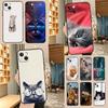 Применимый чехол для мобильного телефона iPhone16, новый чехол для мобильного телефона с изображением пары животных и милых кошек, чехол для мобильного телефона с изображением кошек