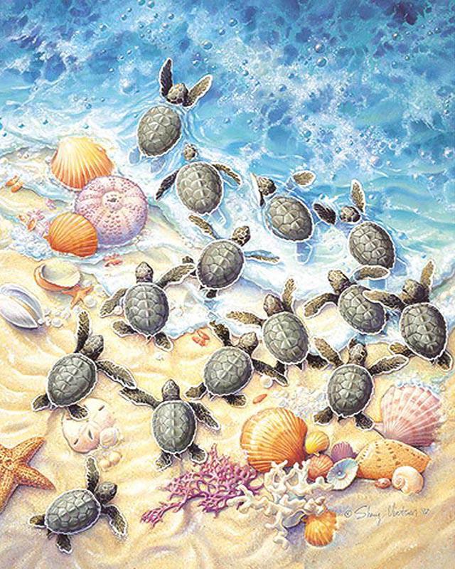 5d алмазная живопись Blackwing Demon женщина Алмазная вышивка маленькие черепахи животные фотографии из стразов мозаика домашний декор