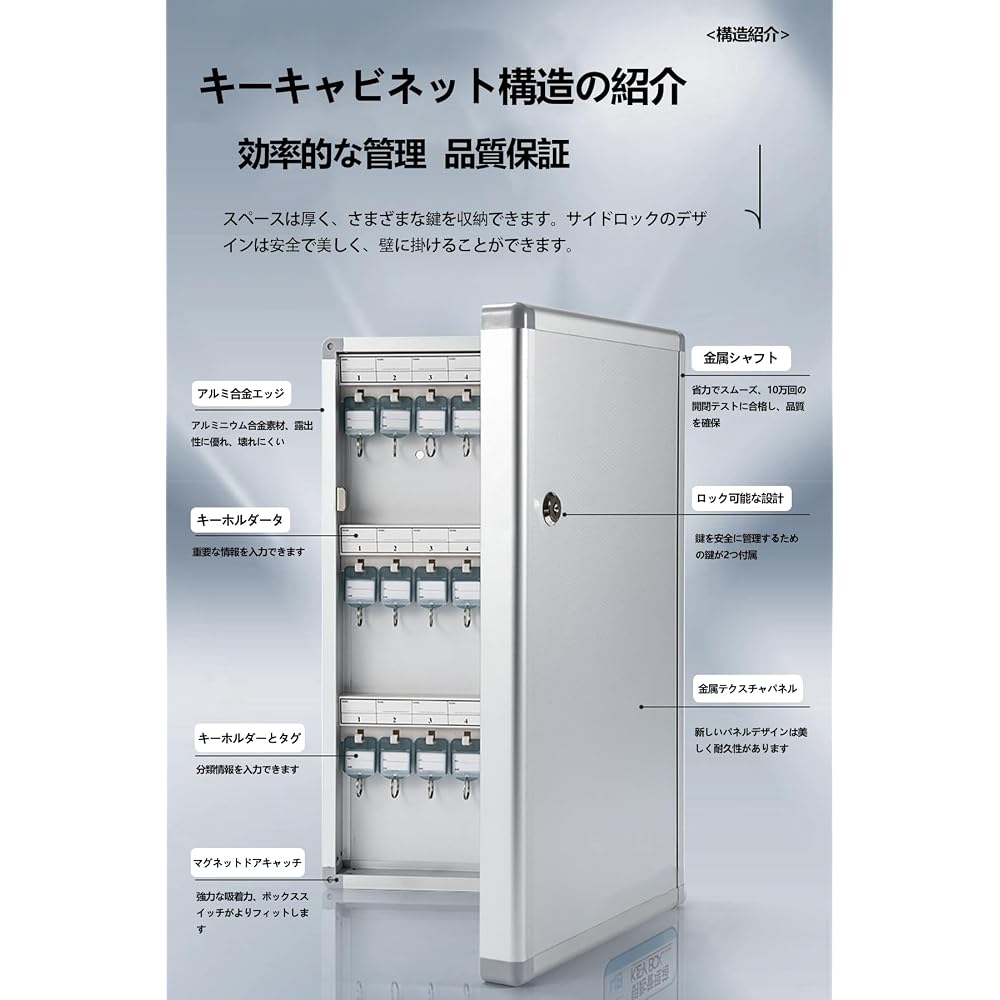 XXIAOTIAN Key Box Key Case Wall Mounted with 11-Digit Key Disc, Lockable, Large Capacity, Key