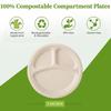 50Pcs Disposable Plate 9-10" Extra Strong Extra Thick Microwave Safe Paper Plate Cut Oil Resistant Biodegradable Disposable Tray