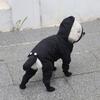 Pet Dog Raincoat with Rain Boots Cat Small Dog Waterproof Jumpsuit Overalls Clothes Poodle Pomeranian Puppy Rain Dog Hooded Coat