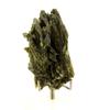 Stones and Minerals. Epidote. 278.50 Ct. Chamrousse, Belledonne Massif, Isère, France.