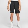 Nike Сплошные повседневные шорты с маленьким логотипом, детские штаны, черные BV6865-010