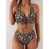 Split Swimsuit Two-Piece Leopard Print Bikini European and American Swimwear Factory Wholesale