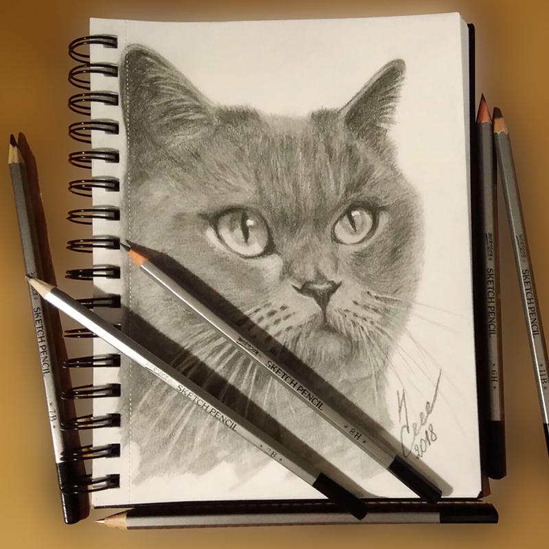 Набор из 24 карандашей для рисования, карандаши для художественных эскизов, 14B-9H, графитовые карандаши с растушевкой