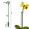 5/10pc Plant Support Stakes Garden Single Stem Flower Support Stake Amaryllis Plant Cage Support Plastic Flower Stand Succulents