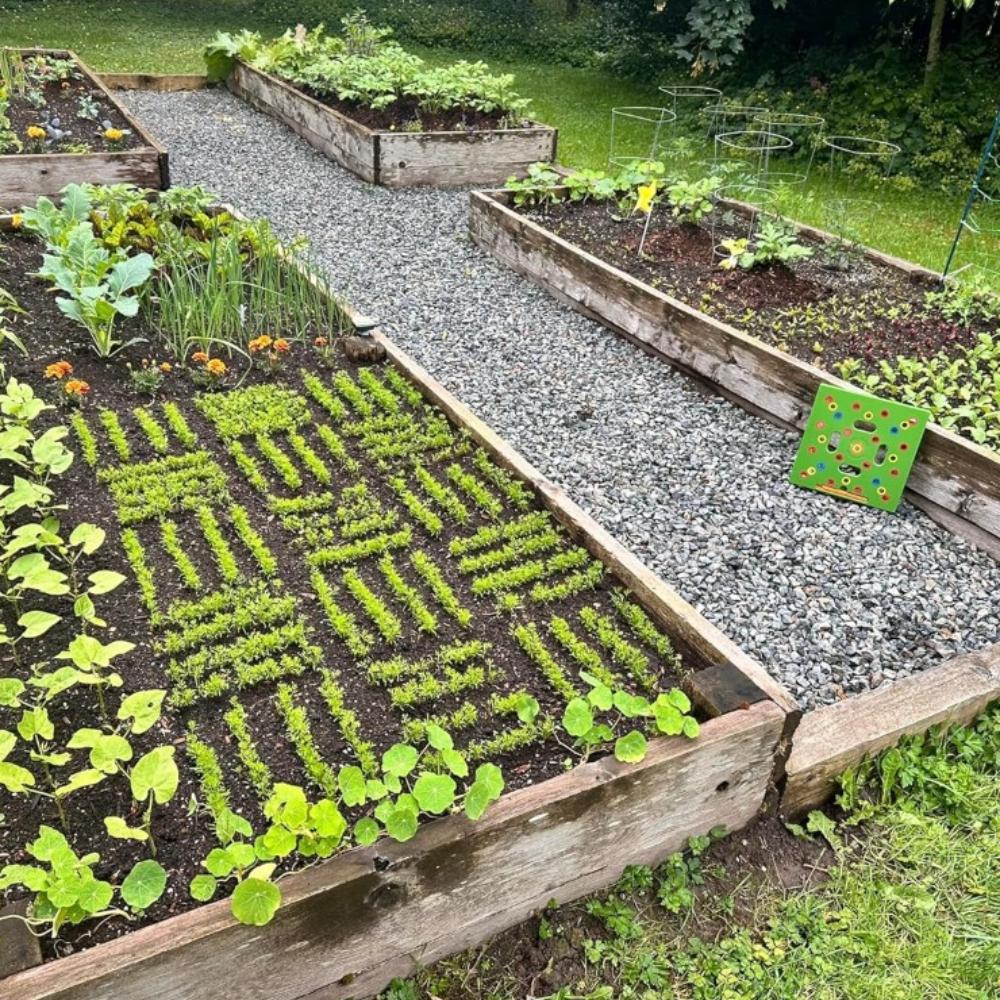 Посевной квадрат — инструмент для разделения семян и рассады для большего урожая, организованных растений и меньшего количества сорняков — шаблон для садоводства с цветовой кодировкой