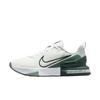 Кроссовки мужские Air Max Alpha Trainer 6 Summit White/Light Silver/Seaweed/Seaweed FQ1833-108
