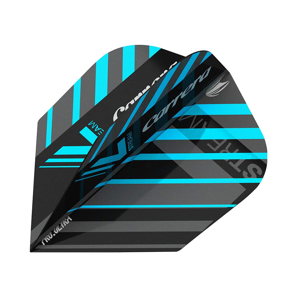 Target Carrera V2 Steel 21g 190014 V-Stream