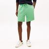 Tommy Hilfiger Casual Shorts Men's MW0MW39410
