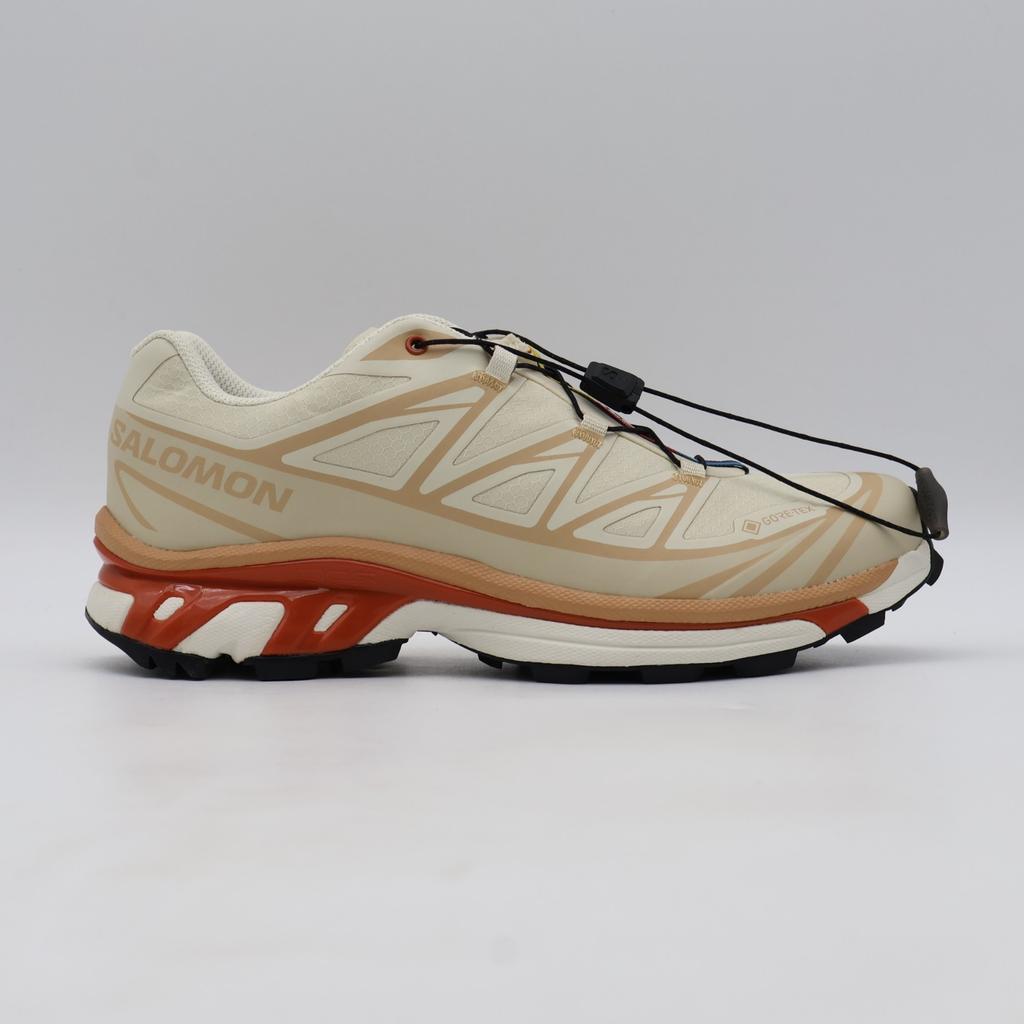 L47865200 Salomon XT-6 GORE-TEX Миндальное молоко Мягкая глина Жженый охр (Мужской)