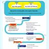 Kindergarten to Primary Transition Parent Handbook