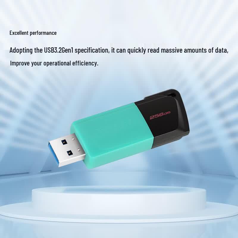 Kingston Флеш-накопитель DataTraveler DTXM USB 3.2 Gen 1