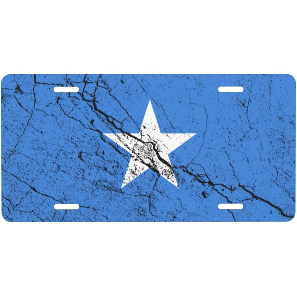 High Definition Metal Tin Sign MultiCountry National Flags License Plate Style Vintage Wall Art Decor for Home Garage Bar