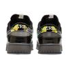 Nike Dunk Low Be True to Your DNA — серые кроссовки унисекс многоцветные FV3617-001