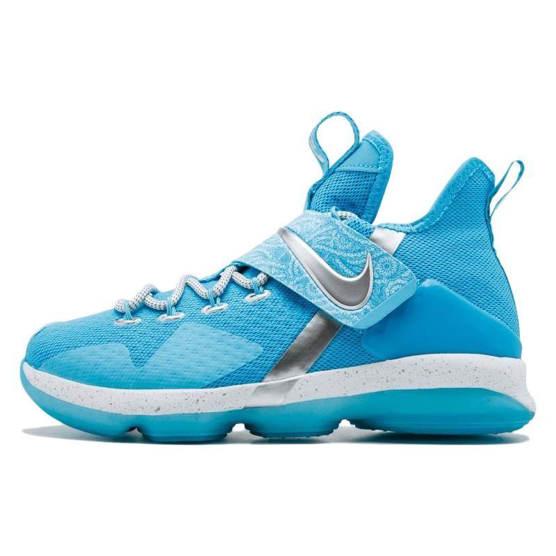 Nike LeBron 14 Ric Flair GS AA3258-404