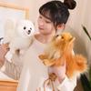 Premium Cute Plush Pomeranian Dog Real Life Toystuffed Animals Soft Puppy Pet Doll Children Kids Girls Lovely Gift