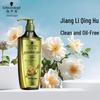 Шампунь против перхоти Schwarzkopf Ginger Essence