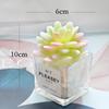 Desktop Bookshelf Decor: Faux Succulent Cactus with Dried Flowers