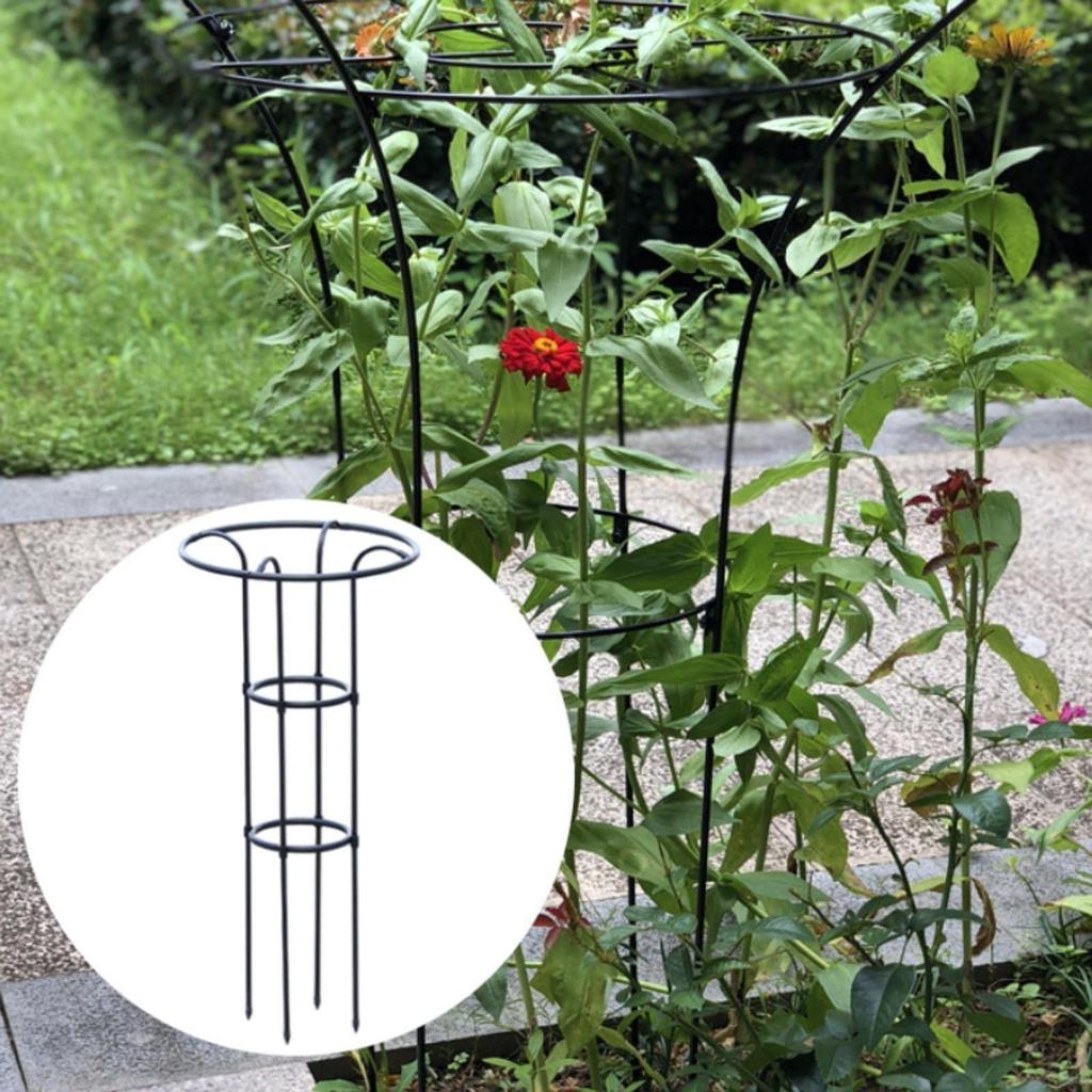 Садовый обелиск шпалера садоводство вьющаяся рама подставка для цветов инструменты вертикальный зонт для