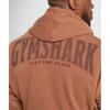 Gymshark Толстовка Heritage Washed Canyon Brown A4a7j Ncc0