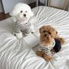Puppy Dress Skirt Cats Beach Skirt Bowknot T-shirt Dress Beach Puppy Dog and Cats Princess Holiday Wedding