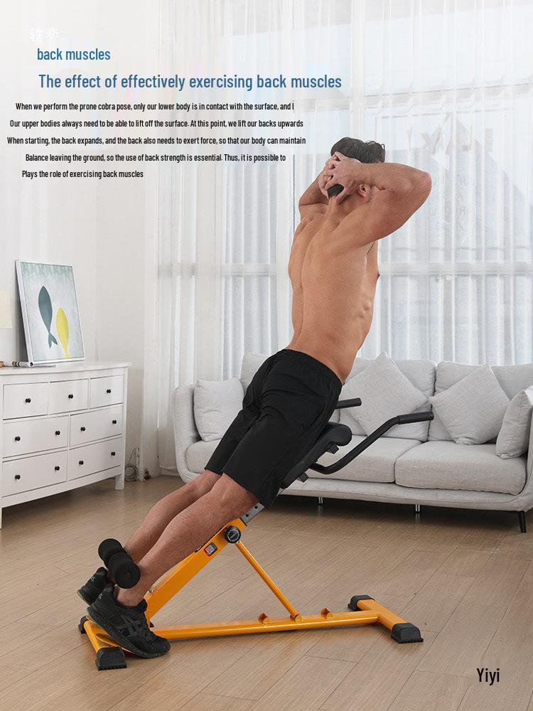 Foldable Adjustable Roman Chair & Dumbbell Bench for Leg & Back Muscle Fitness