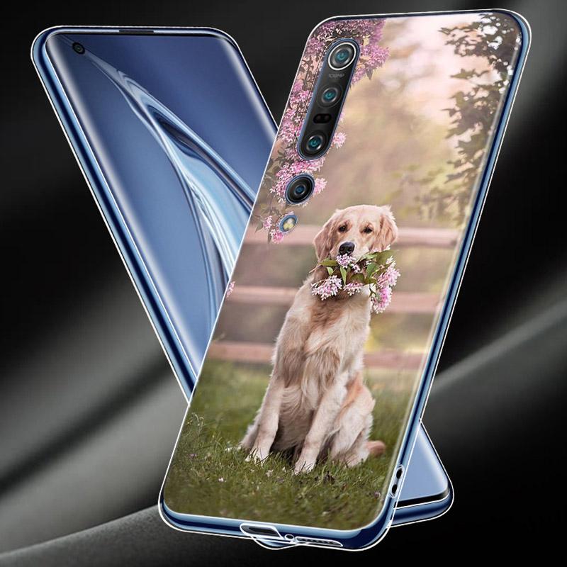 Милый прозрачный чехол с изображением золотистого ретривера для Xiaomi Mi Note 11 11T 11i 10i 10T 10 9 9T SE 8 Lite Pro Ultra, чехол для телефона