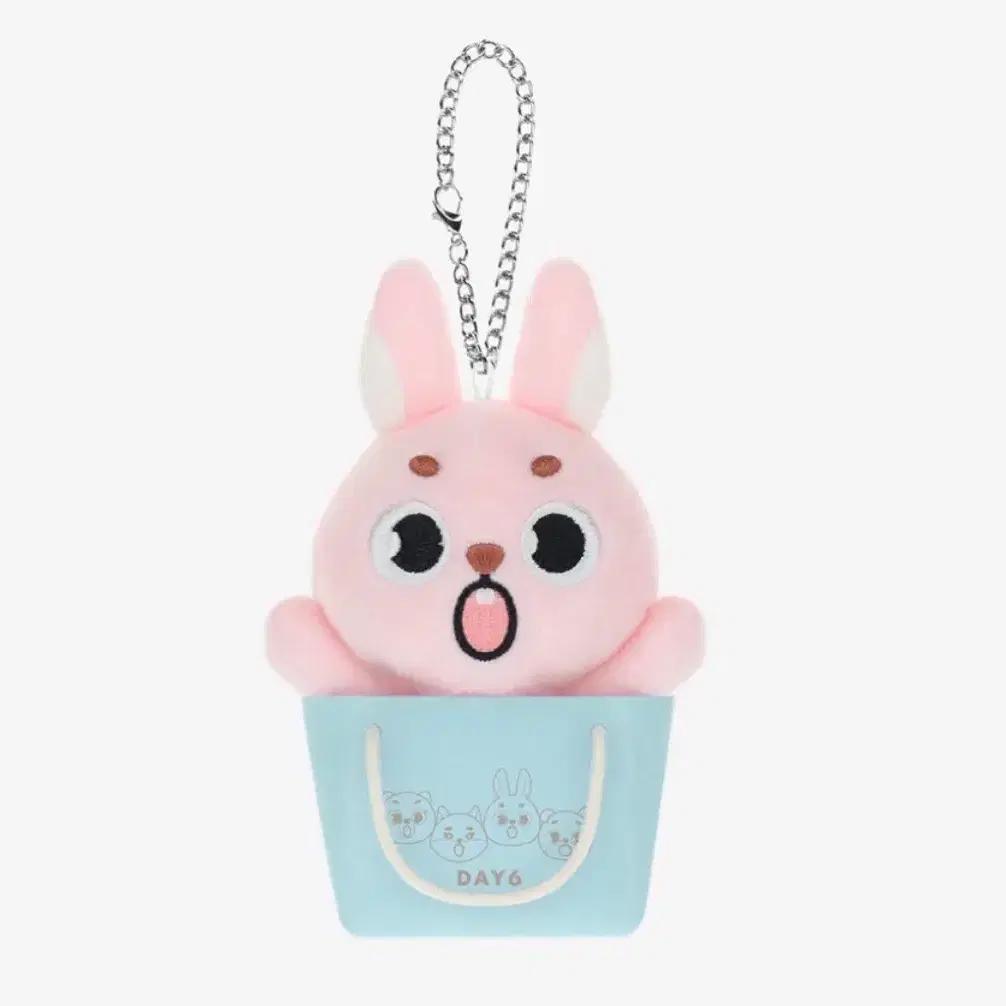 DAY6 Japan MD Bag Charm Feel (sealed)