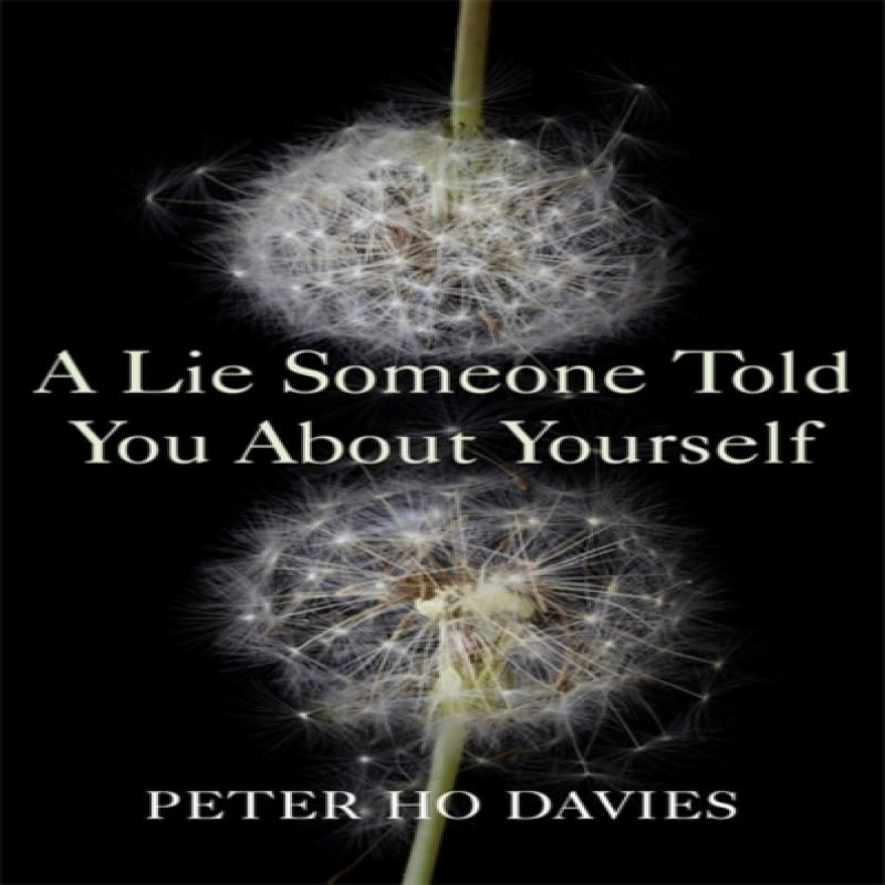 A Lie Someone Told You About Yourself by Peter Ho Davies Hardback Book 9780340980279