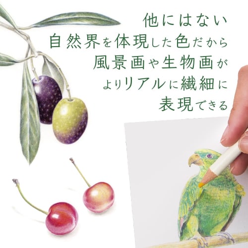 Цветной карандаш Tombow Pencil Color Dictionary Новые цвета Набор из 10 CI-REX10CAZ