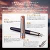 Parker Перьевая ручка Sonnet Journey Special Edition с тонким кончиком, 18-каратное золотое перо, подарочная коробка, подлинный импортный продукт 2191652