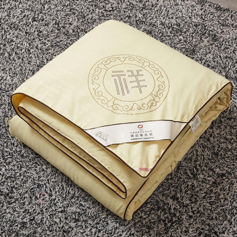 Silk Quilt Spring Autumn Quilt Luxury Silk Winter Quilt Home Hotel High Quality Comforter Two-in-one Quilt Core Gift Quilt