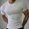Men's Seamless Quick-Dry Compression Sports T-Shirt: Short Sleeve, Summer Fitness & Running Wear