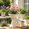 With Drainage Holes Goblet-shaped Ring Resin 23 Cm 1 Pc