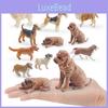 Pvc Realistic Pet Dog Model For Childrens Education And Collecting