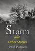 Книга The Storm and Other Stories