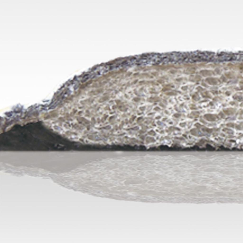 PEARL IZUMI Cycling Wear 34 Mega 2 Dark XL Gloves, Color Navy, Size