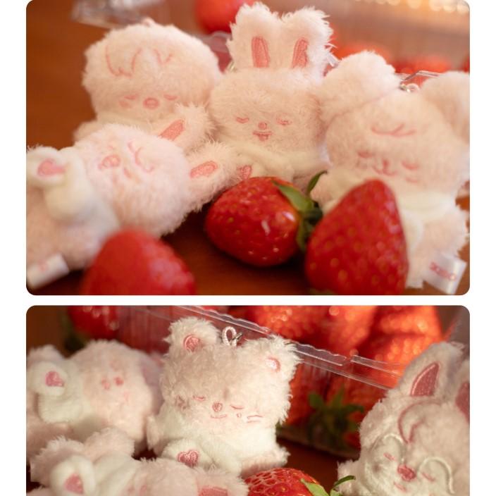 Stray Kids [ОСТАНОВИТЕСЬ в Нашем Маленьком Домике] SKZOO СЕКРЕТНЫЙ ПЛЮШЕВЫЙ МИКРО Спящий Вариант