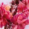 Dior Miss Dior Ароматная Версия Парфюмы Шипровый Цветочный Парфюм Цитрусовый Клубника Жасмин Пачули