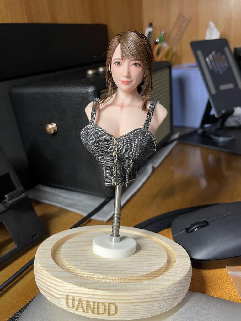 FASHIONUANDO Маленький бюст для масштабного действия Окрашенная грудь Прозрачный чехол Роскошный женский бюст Голова Подставка для красивой красивой средней школы и одежды