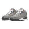 Детские кроссовки Air Jordan 3 Retro GS Cool Grey 2021 Silver Light-Graphite Orange-Pel 398614-012